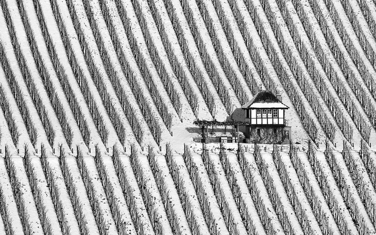 Thema Landschaft: Platz 11