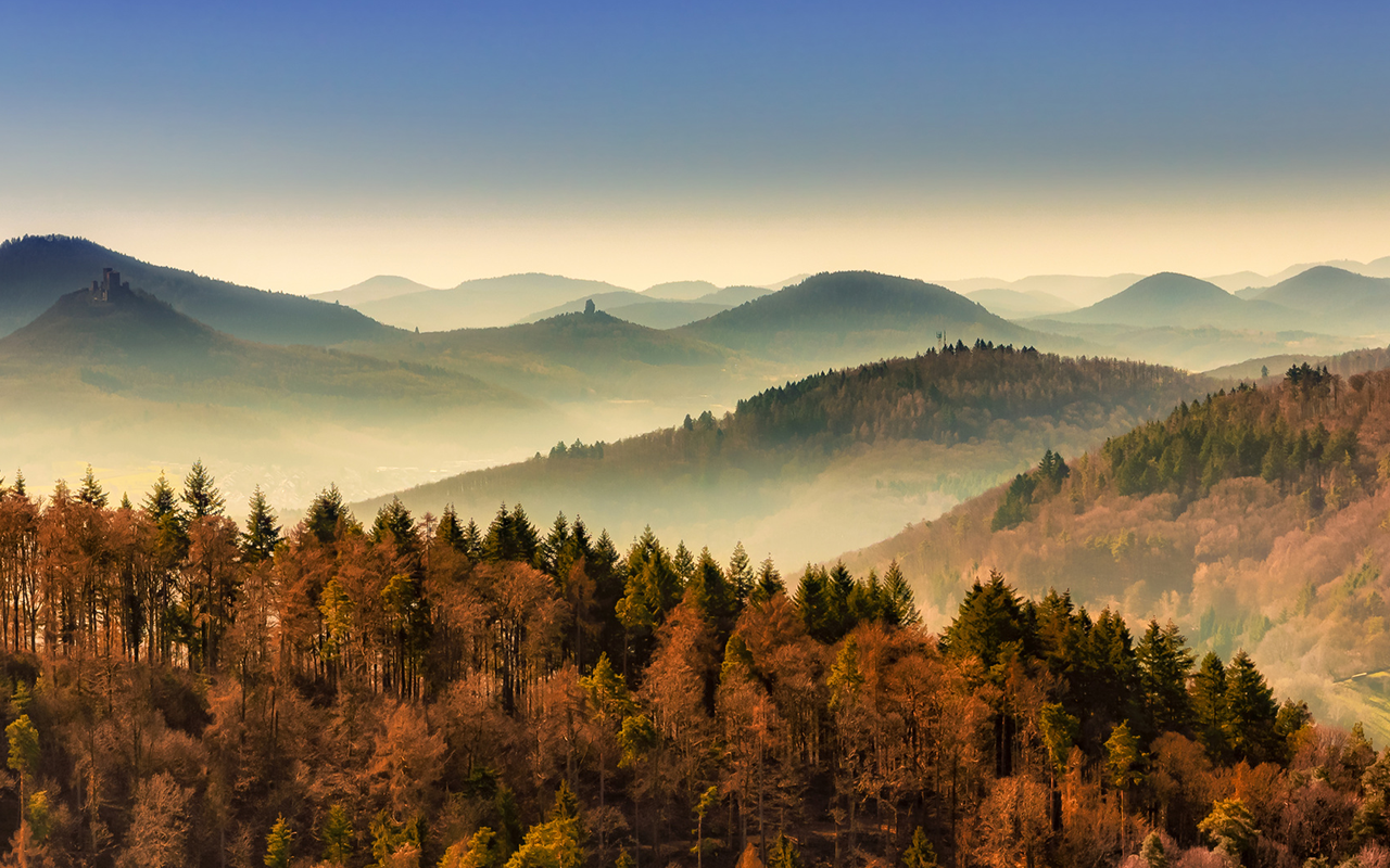 Thema Landschaft: Platz 12