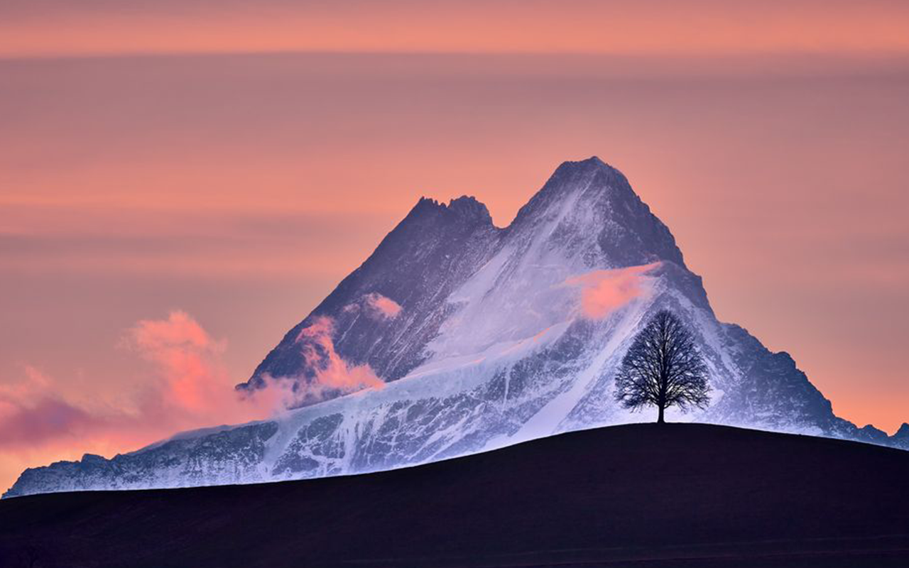 Thema Landschaft: Platz 13