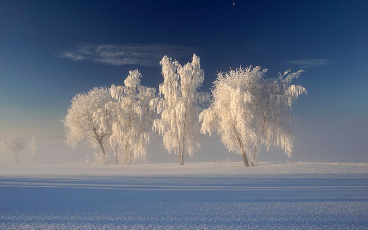 Thema Landschaft: Platz 7