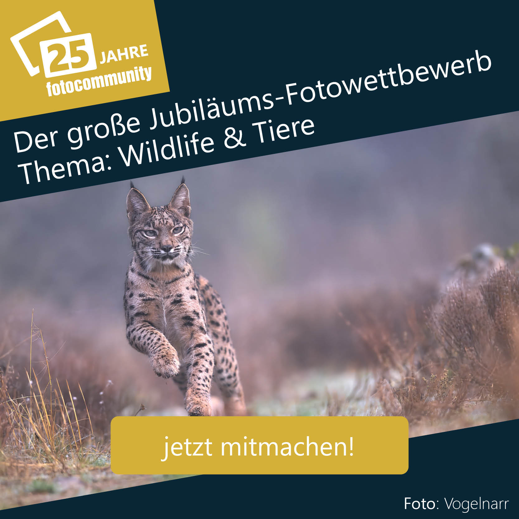 Wildlife & Tiere