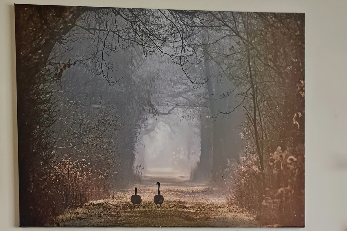 Foto Robert Müller